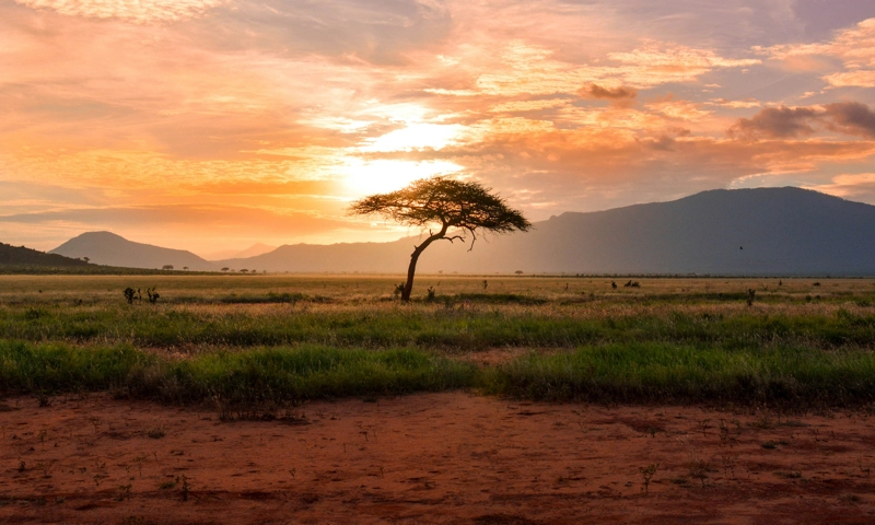 Kenya Drives Africa’s Tourism Growth With Economic and Sustainability Gains