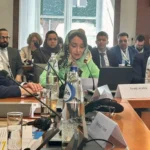 Saudi Arabia, EU, Norway Lead Ninth Global Alliance Meeting on Two-State Solution Implementation