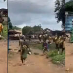 Panic In Ogbomoso As Residents Flee Schools, Markets Over Fresh Terror Attack Fears