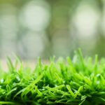 The Download: AstroTurf wars and exponential AI growth