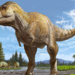 Mystery of Tyrannosaurus rex’s Tiny Arms May Finally Have an Answer