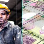 Full breakdown: Qatar’s minimum wage and average salaries released in 2026