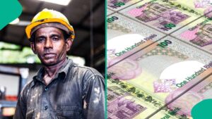 Full breakdown: Qatar’s minimum wage and average salaries released in 2026