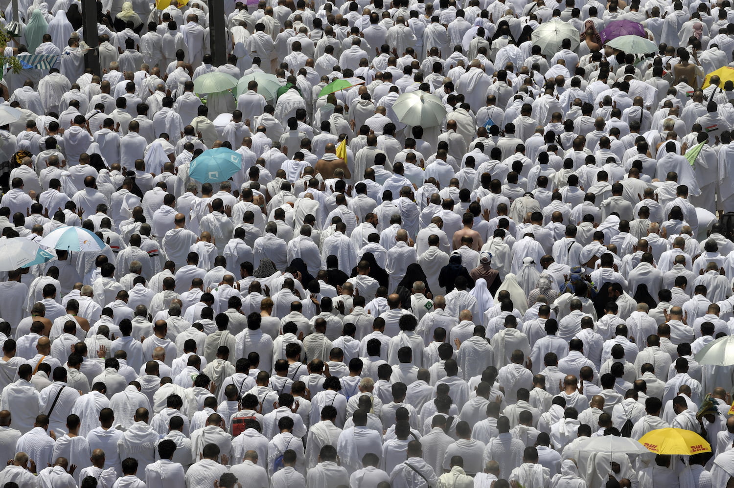 Hajj Commission warns against fake visa agents, says Saudi has closed issuance