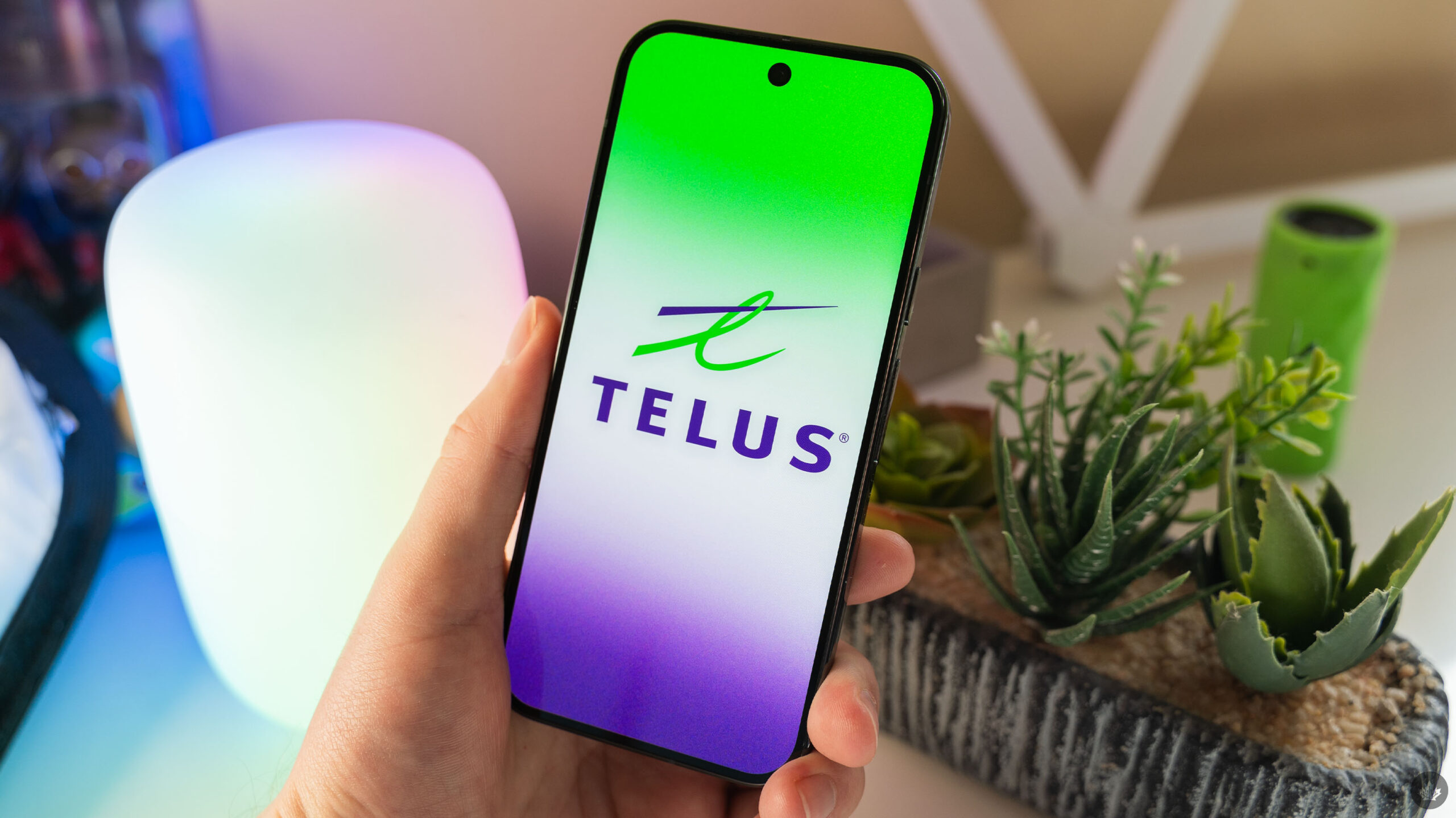 Telus announces award recognition, program enhancements