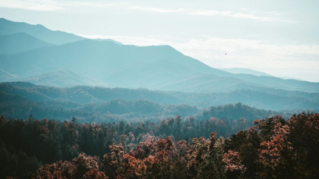 Appalachian Region Could Hold Key to U.S. Battery Supply Chain Independence