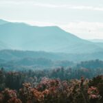 Appalachian Region Could Hold Key to U.S. Battery Supply Chain Independence
