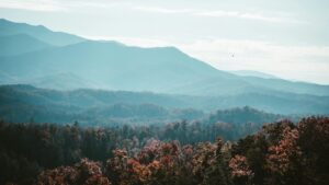 Appalachian Region Could Hold Key to U.S. Battery Supply Chain Independence