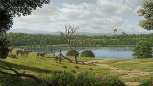 Half-Ton Cattle Relatives Roamed Europe 4 Million Years Ago