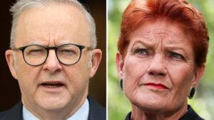 Labor ramps up Hanson attacks, as Taylor rebukes ally in phone call