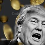 Trump Crypto Empire Earns $2.3 Billion While Investors Face Heavy Losses
