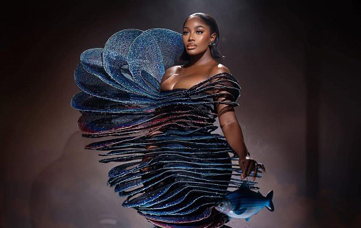 Red Carpet no longer just glamour, it’s serious business — Nana Akua Addo
