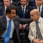 Israeli diaspora minister warns of new Qatar-Turkey-Pakistan axis following Iran war