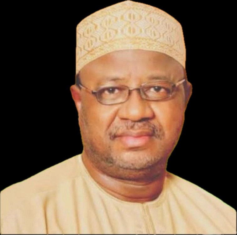 Party primaries heist: Why INEC’s silence is the smoking gun By UMAR ARDO, Ph.D 