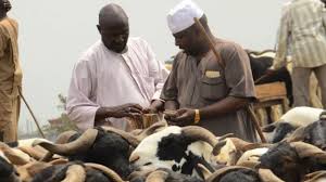 Eid-el-Kabir: Ram Prices Soar in Ibadan as Buyers Struggle Ahead of Sallah