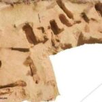 New Jabal Al-Tayr discovery reshapes understanding of early Egyptian funerary architecture