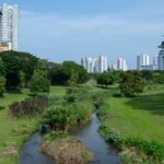6 fun and practical ways to celebrate Earth Day, Lifestyle News