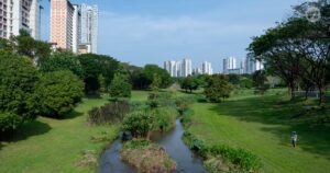 6 fun and practical ways to celebrate Earth Day, Lifestyle News