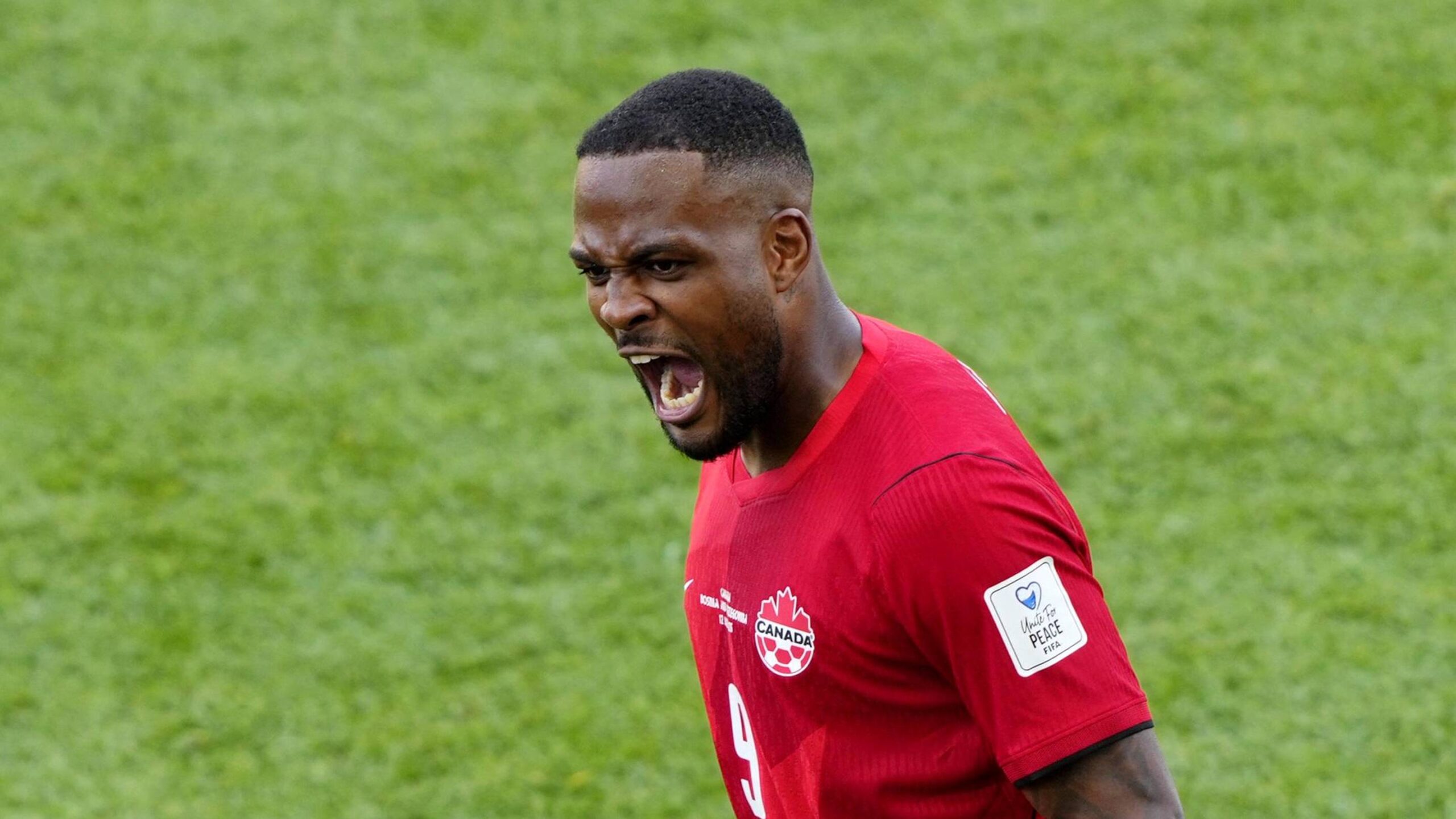 Canada vs. Qatar live score, team and player stats for World Cup group stage