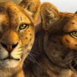 Early Saber-Toothed Cat Gets New Face after Decades of Mystery