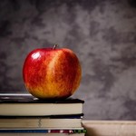 Why are South African teachers leaving for Australia?