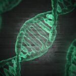 CRISPR Breakthrough: DNA-Guided RNA Editing Revolution | Mirage News