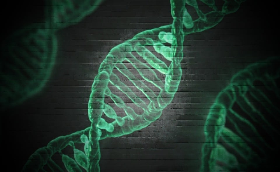 CRISPR Breakthrough: DNA-Guided RNA Editing Revolution | Mirage News