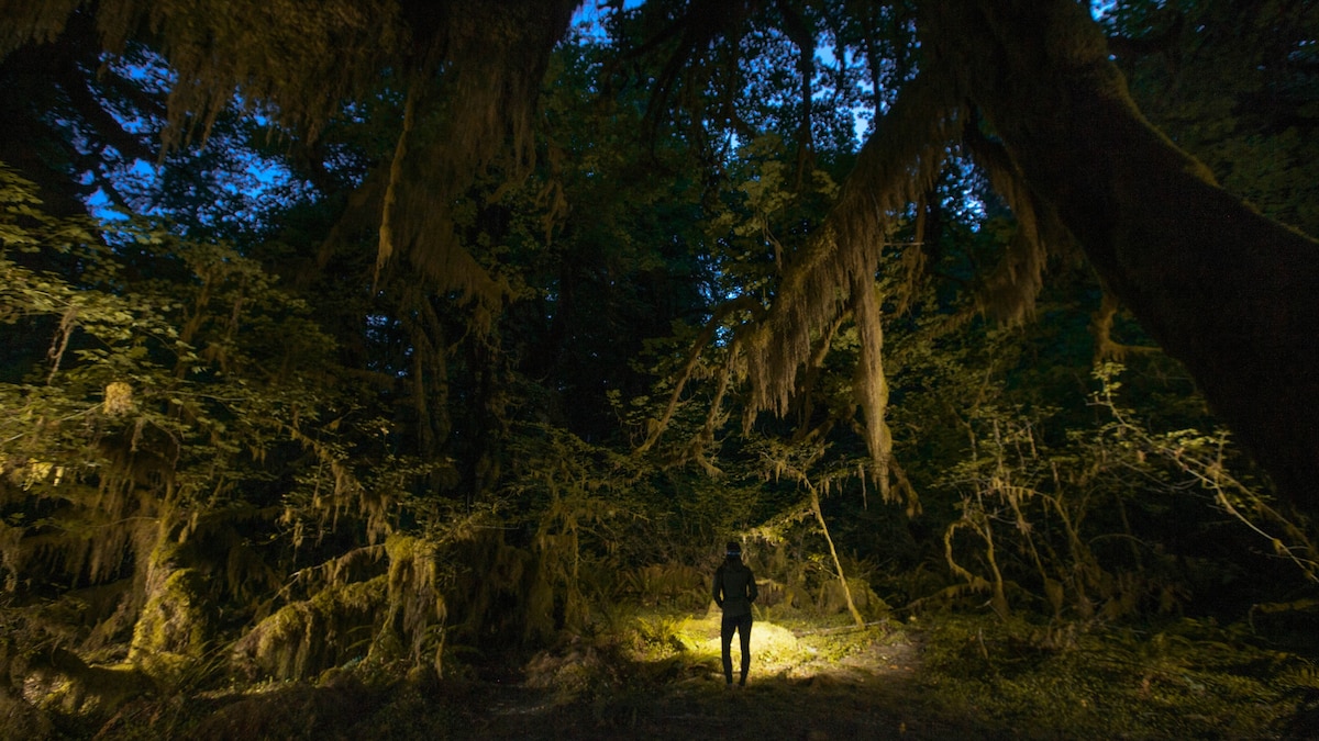 The best ways to explore America’s national parks at night