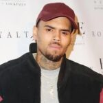 Court orders American singer Chris Brown to pay ₦19 billion to Housekeeper disfigured by his Dog