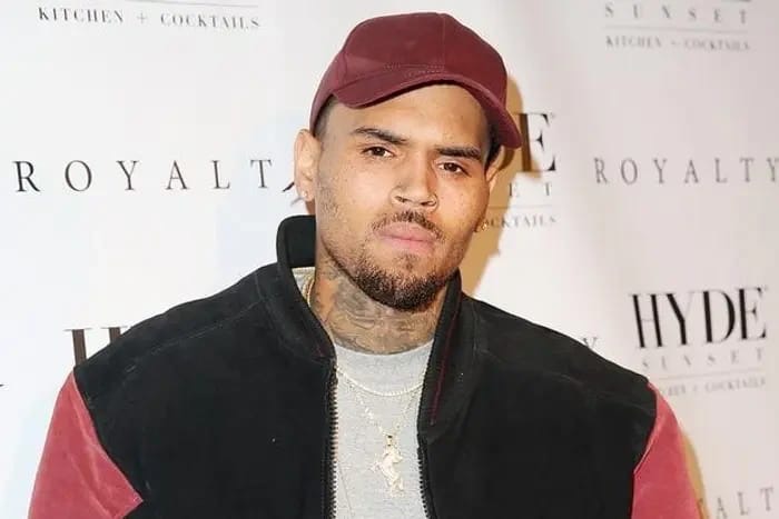 Court orders American singer Chris Brown to pay ₦19 billion to Housekeeper disfigured by his Dog