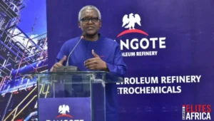 Dangote Refinery Not the Problem, Import Dependence Is, CPPE Says